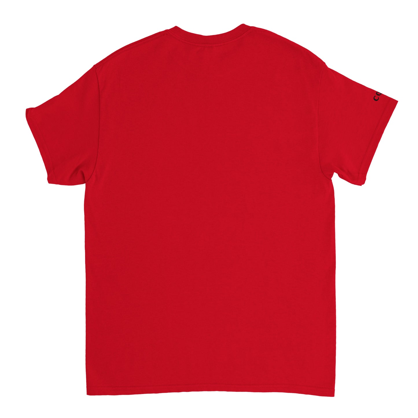 ☀Leo star tee☀